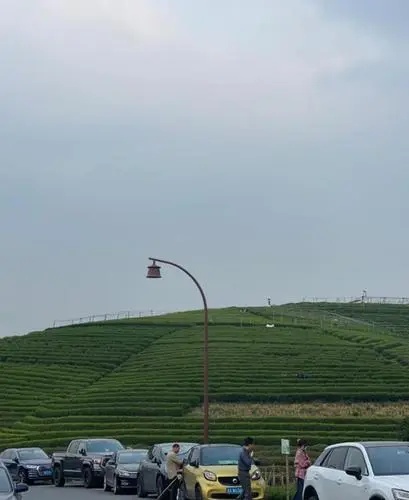  43.jpg